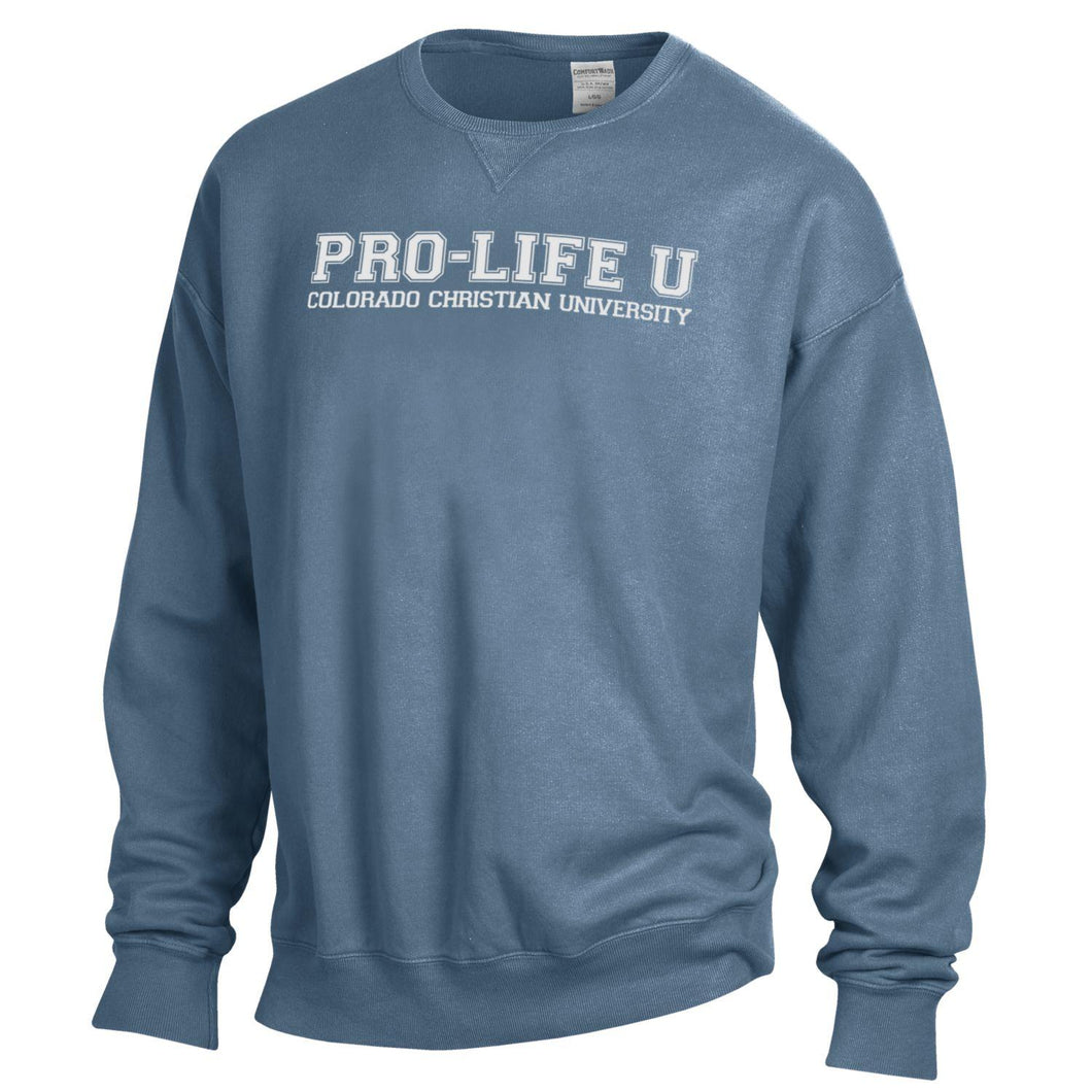 Pro Life U Crewneck Sweatshirt, Saltwater